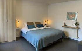 Reykjavik City Center - Privat Studio Apartment
